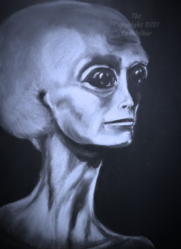 Su Walker illustration of a serene big eyed alien